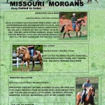 Missouri Morgans December 2012