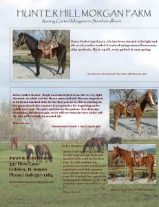 hunter hill for March 2013