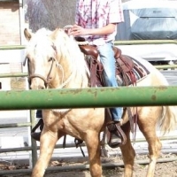 josh and yellow tyke