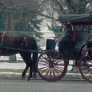 horse-and-carriage-mary-mels-clipper