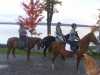 gaited-morgans-and-the-girls-640x480