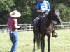 gaya-liz-graves-clinic-fl-1