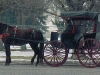 horse-and-carriage-mary-mels-clipper