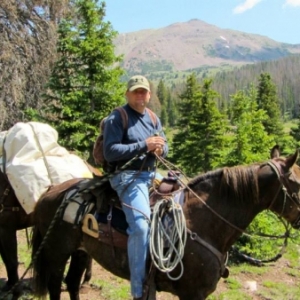 Jon-on-Gilber-18-yr-gelding-by-Indigo-and-Mt-Valley-bluebell